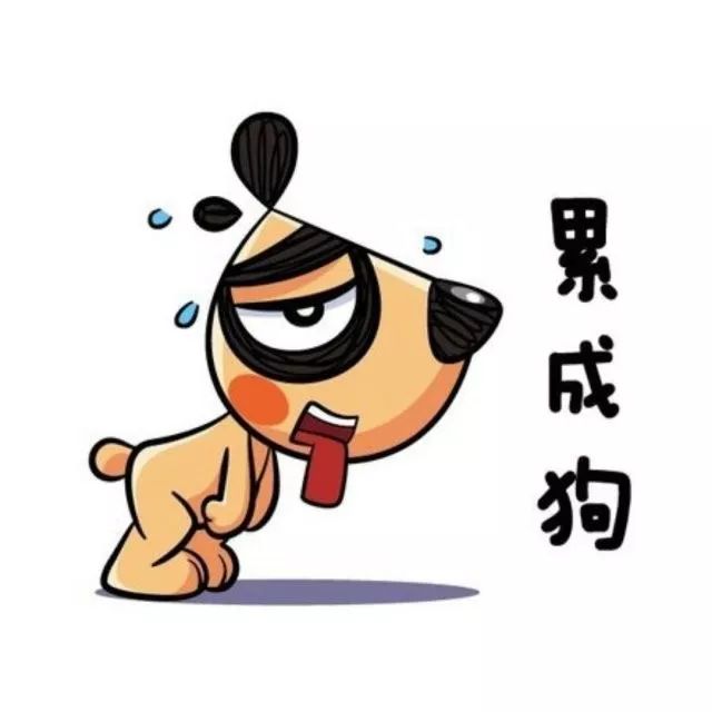 到底要不要报考海关,报海关的条件和要求