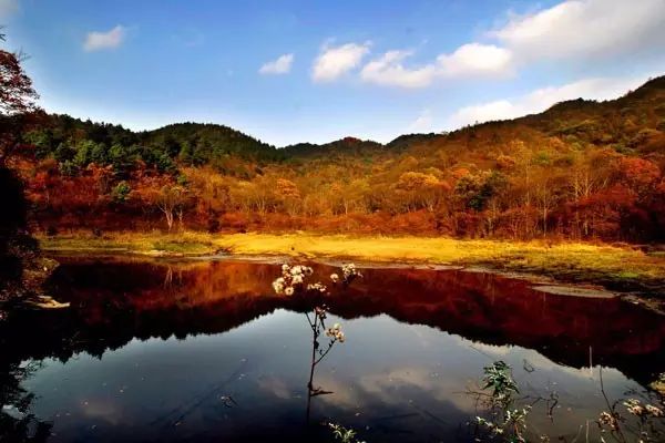 贵阳爬山看风景,贵阳有座望日坡登高赏秋好去处
