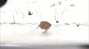 防滑秘籍,防滑小知识