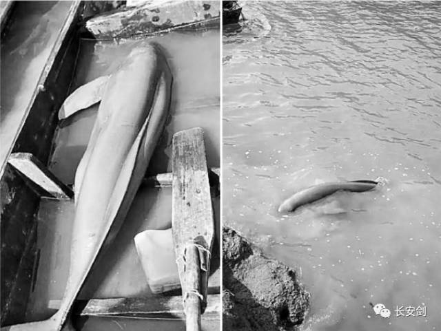 法治新闻最新信息评析,法治新闻2020完整版