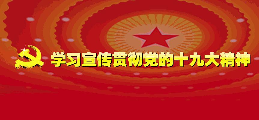 河源有什么足球学校,河源16所学校上榜