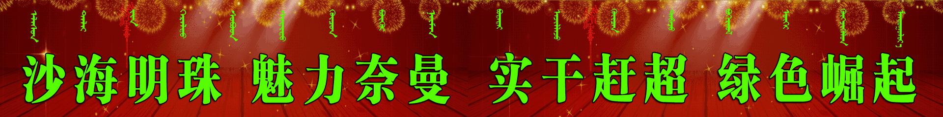 践行二十大精神小学教师演讲比赛,学习贯彻党的十九大精神教育培训