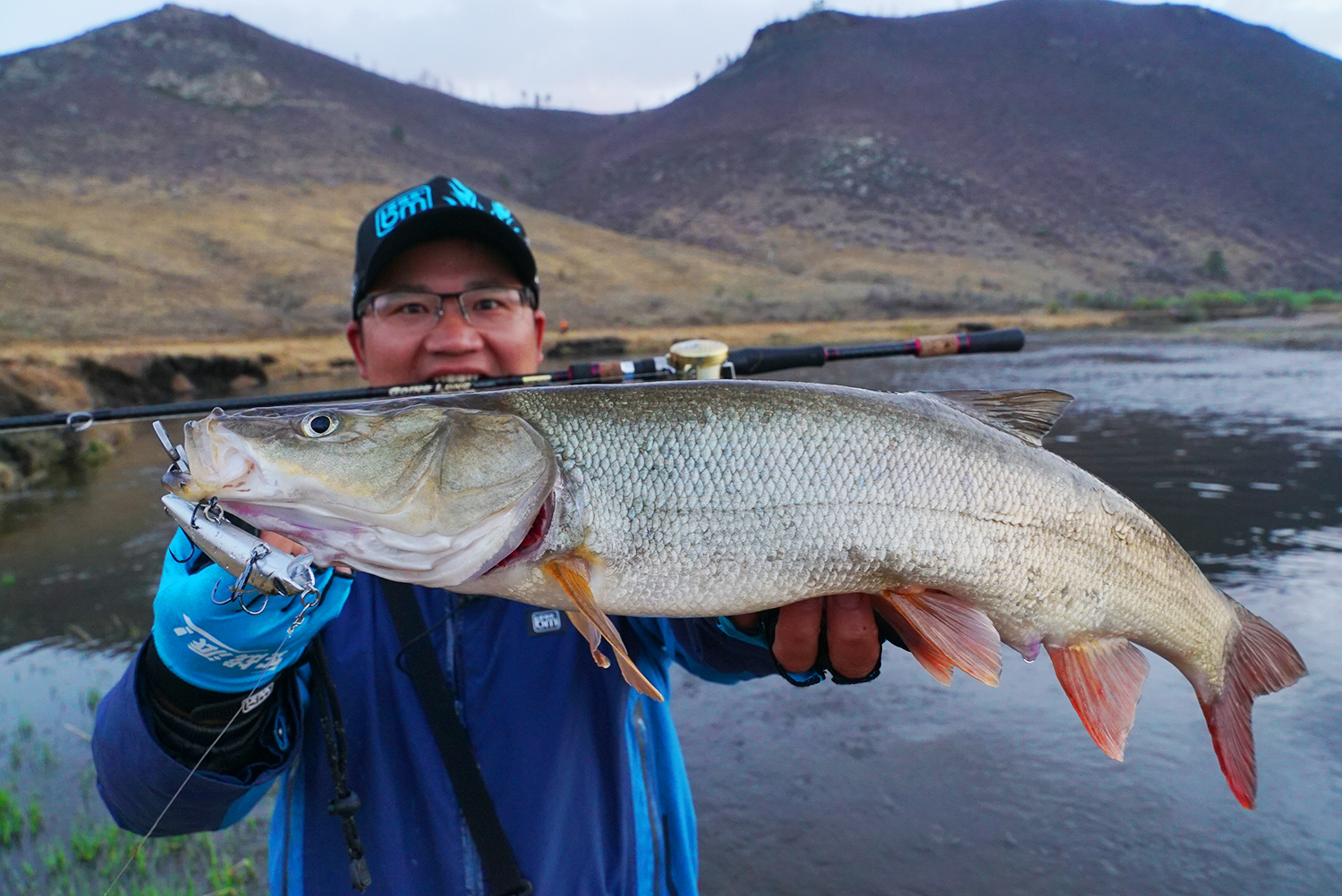 不一样的钓鱼,不一样的食肉鱼