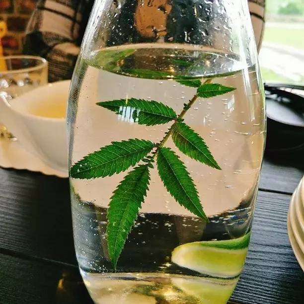 夏季37度高温薄荷如何养,薄荷是夏天的植物