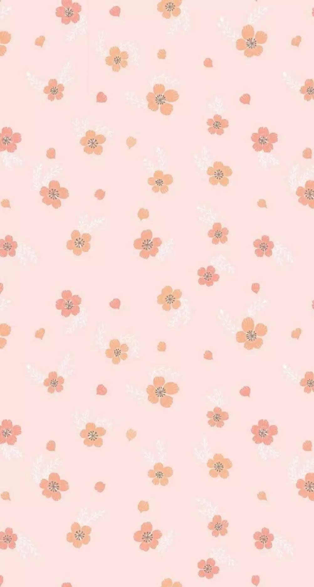 壁纸让人忍不住点赞的纯色壁纸,壁纸真的太适合做聊天背景了