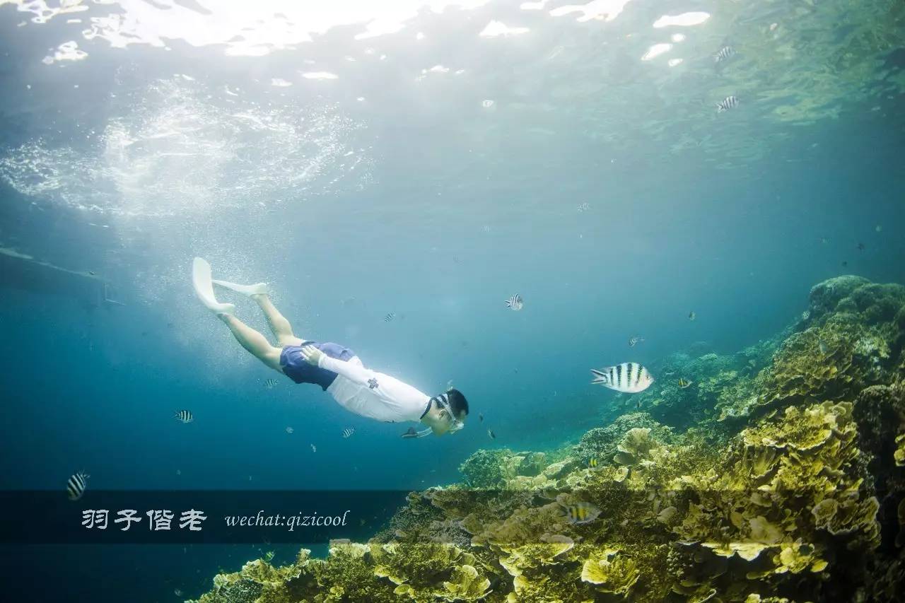 帕劳的旅游时长是多少,帕劳旅游找哪个旅行社