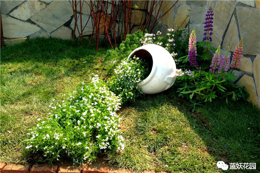 养花养到死的花怎么处理,养花的最高境界是把花养死