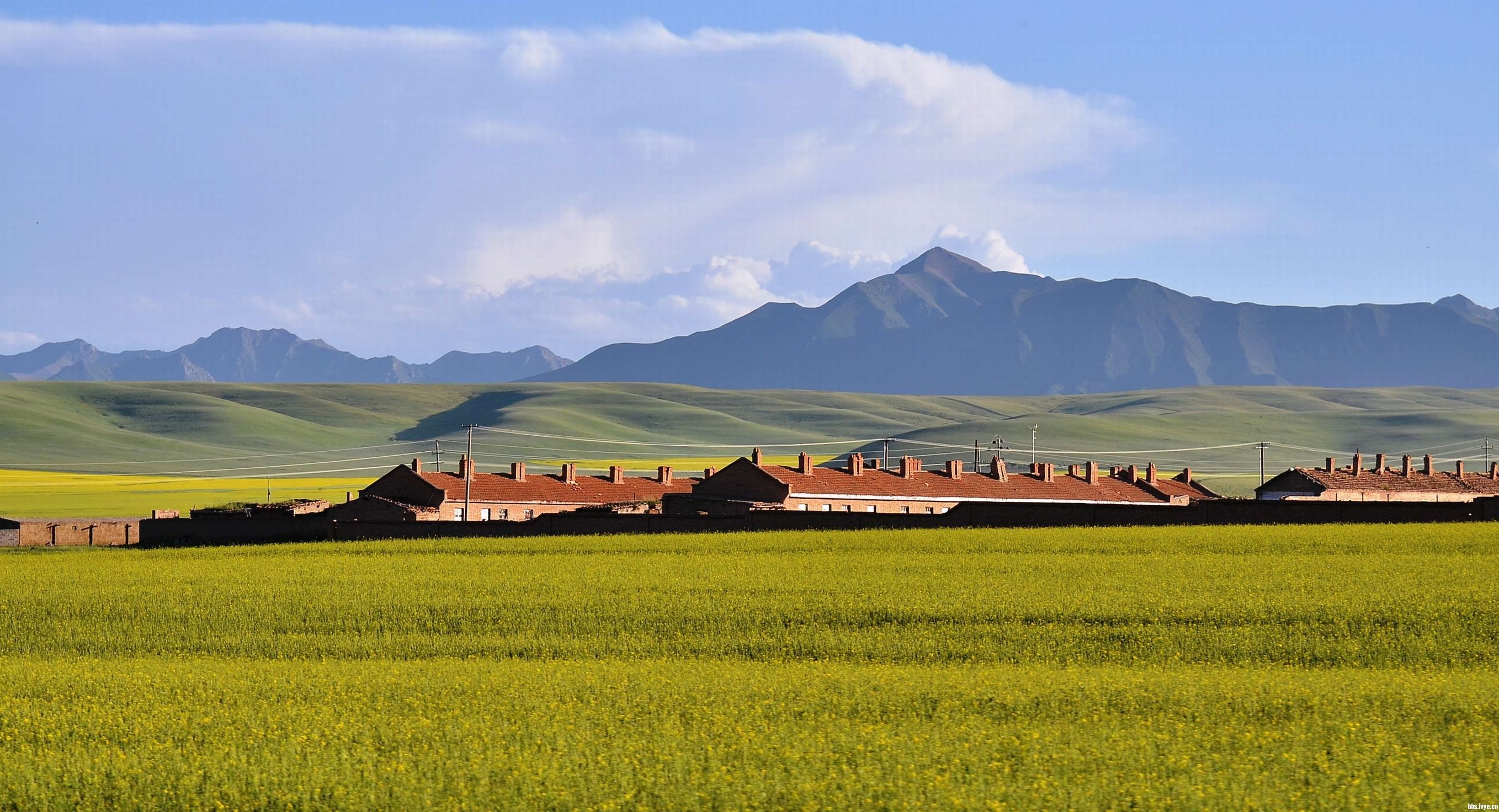 亚洲第一马场山丹军马场,世界第一大马场