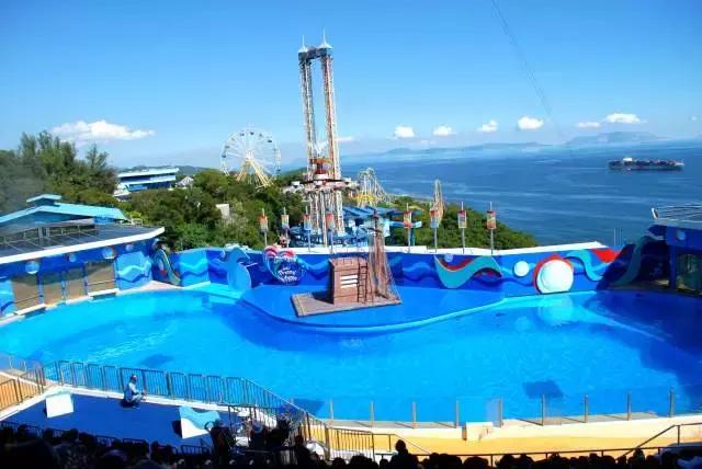 香港新棠记美食攻略,香港菜品攻略