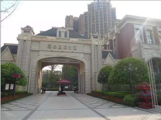 双楠回归二居室,双楠最新视频完整版