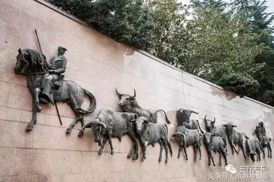 走马观城btc,走马观城完整版