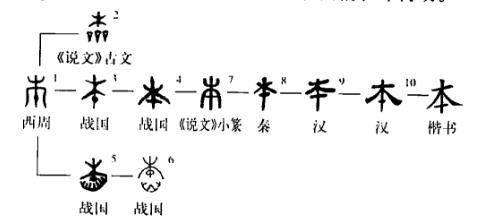 四年级画一棵大树写上各种计划,用一棵大树画出春夏秋冬