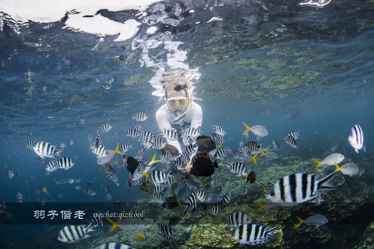 帕劳的旅游时长是多少,帕劳旅游找哪个旅行社