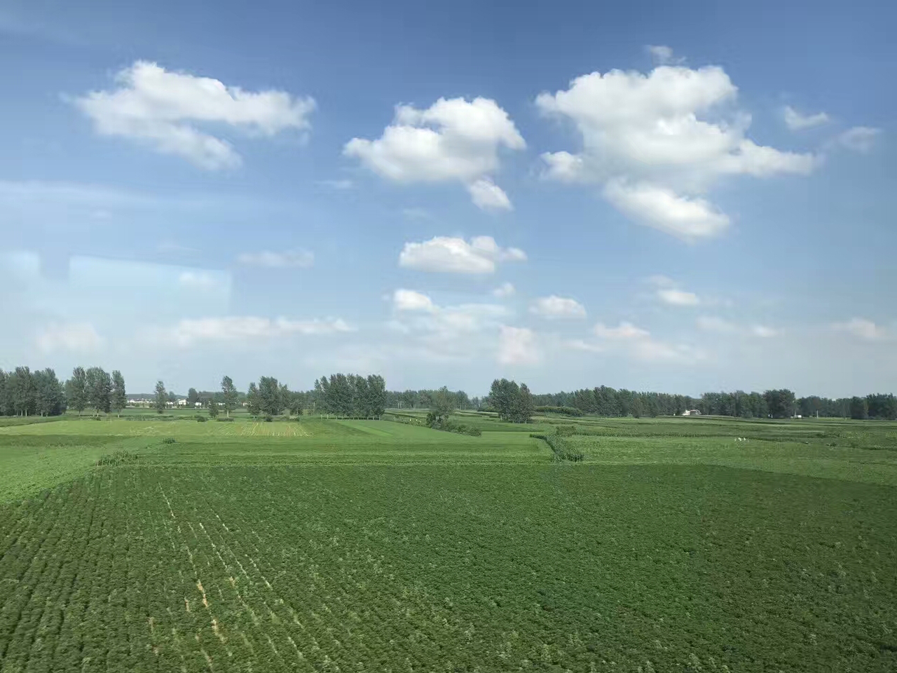 郑州买房子了户口不在郑州咋上学,在郑州买了房子不想要怎么办