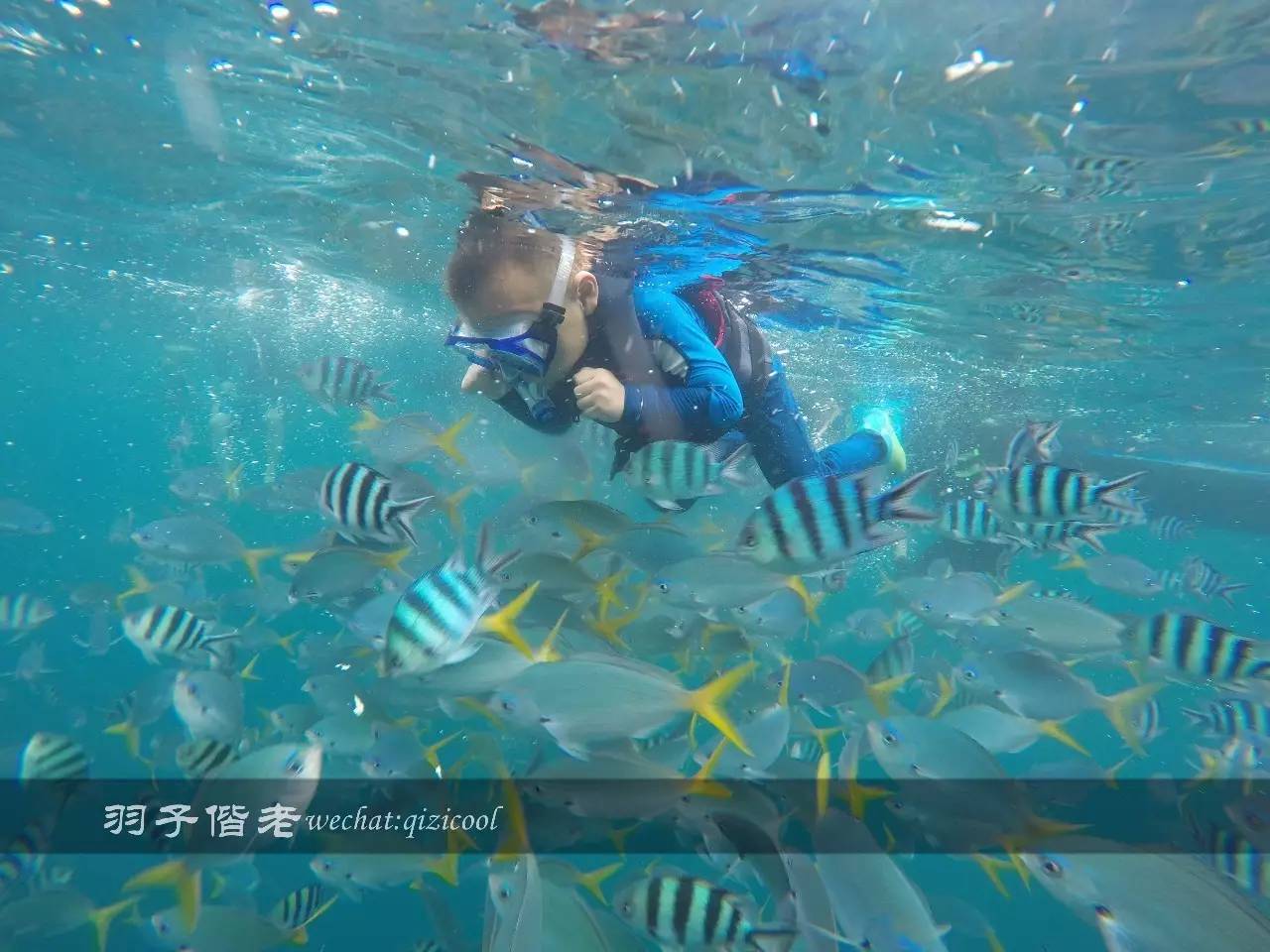 帕劳旅行真实感受,三次帕劳是一种什么体验