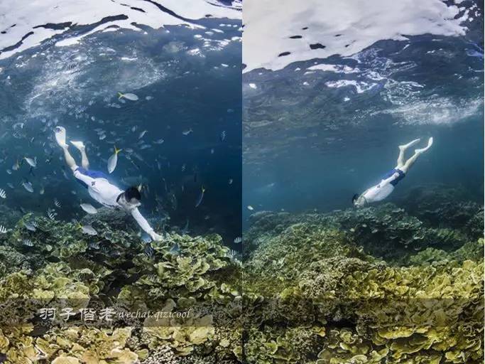 帕劳旅行真实感受,三次帕劳是一种什么体验