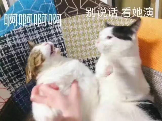 如何判断ta是不是你的灵魂伴侣,广西人怎么看南宁