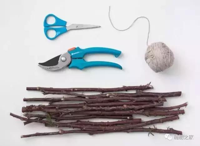生活创意｜捡几根枯树枝搁家里，竟然有十几种用途简直成了家里的装饰品，一道风景线