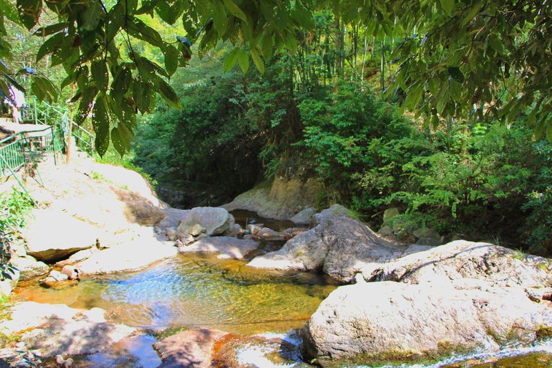 一场说走就走暑假旅行,一场说走就走的旅行来了