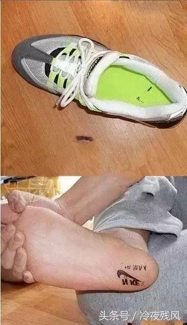 电商史上最全最搞笑锦集，笑成了200斤的胖子