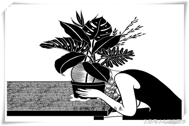 表白被拒怎么起死回生,表白失败如何快速振作起来