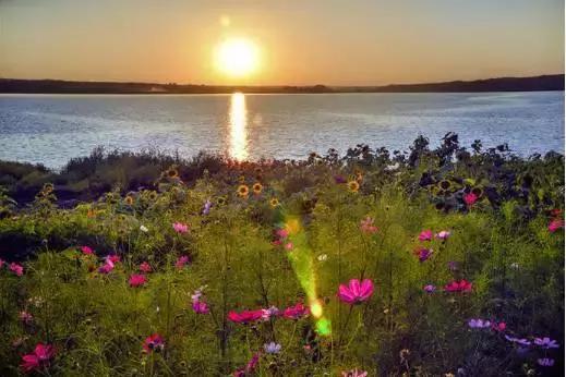 各个地方的特色美景美食,这些地方景色美食都不容错过