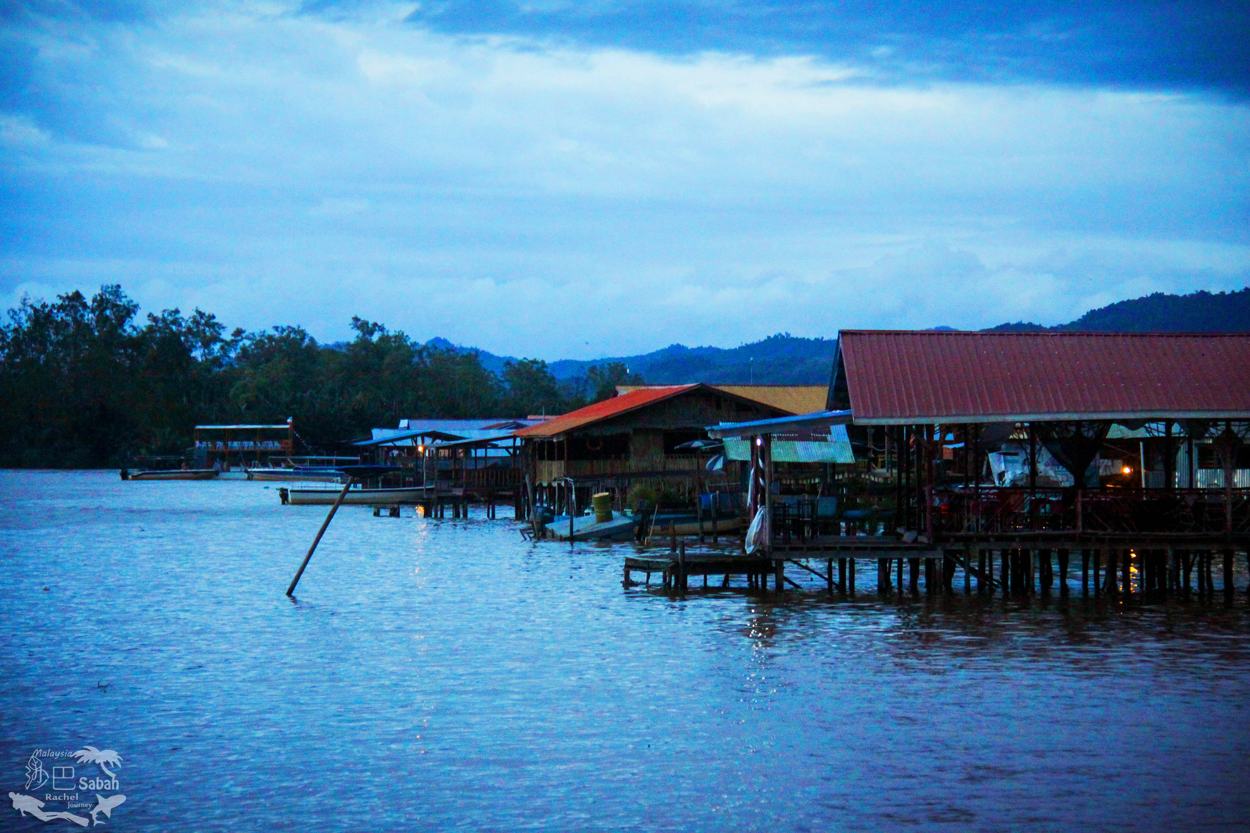 热带雨林是毒还是美威士顿红树林里有怎样的奥秘