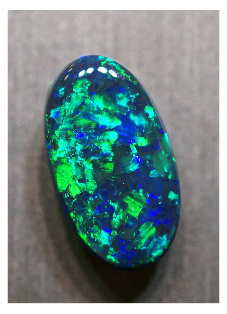 欧泊变色龙,变色龙欧泊