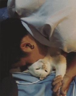 猫咪贴面膜,给猫咪敷面膜