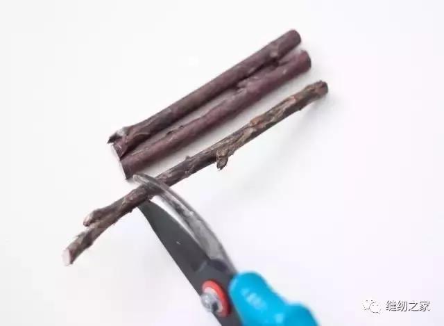 生活创意｜捡几根枯树枝搁家里，竟然有十几种用途简直成了家里的装饰品，一道风景线