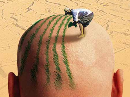 沙溢火吗,沙溢火了