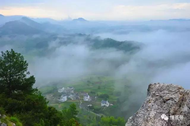 是谁造就的传世高香——“祁门香”
