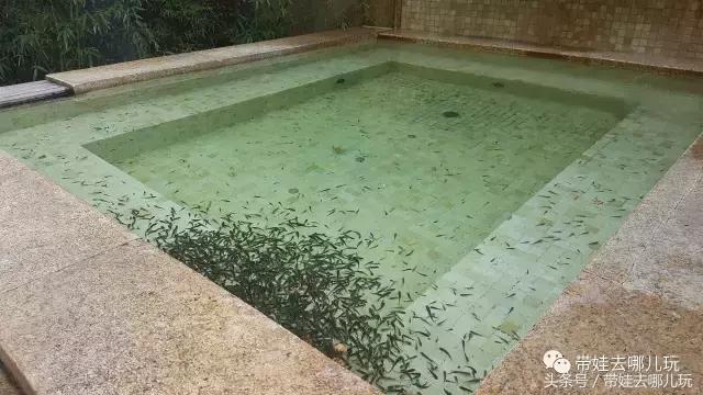 北京春晖园温泉度假村,春晖园温泉私汤价格