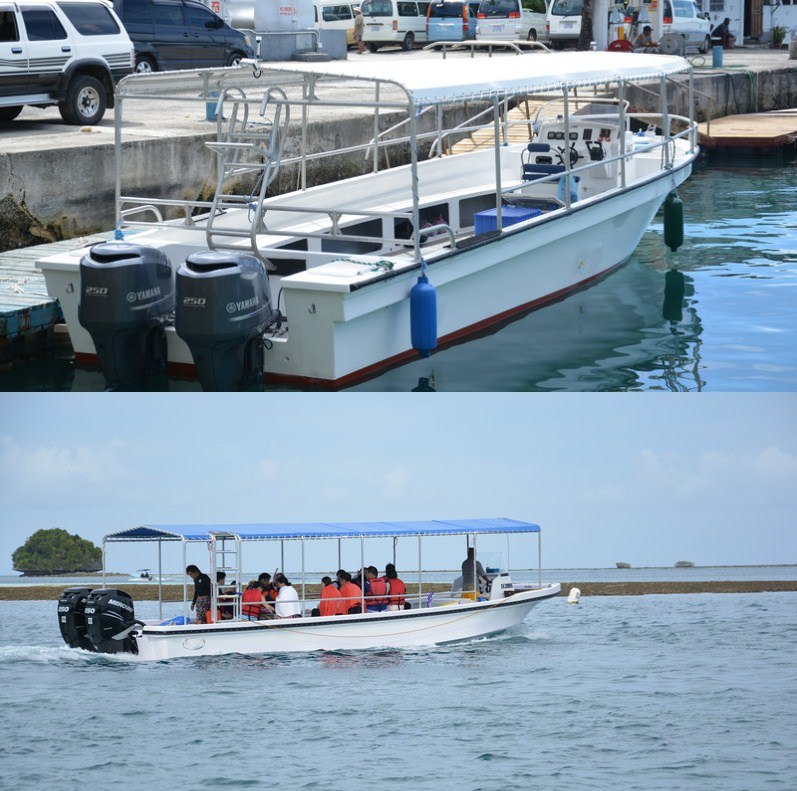 帕劳有什么玩的,帕劳出行攻略