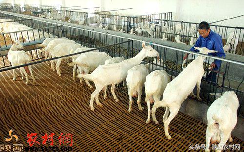 产业扶贫全覆盖,富平县打造三大百亿产业集群