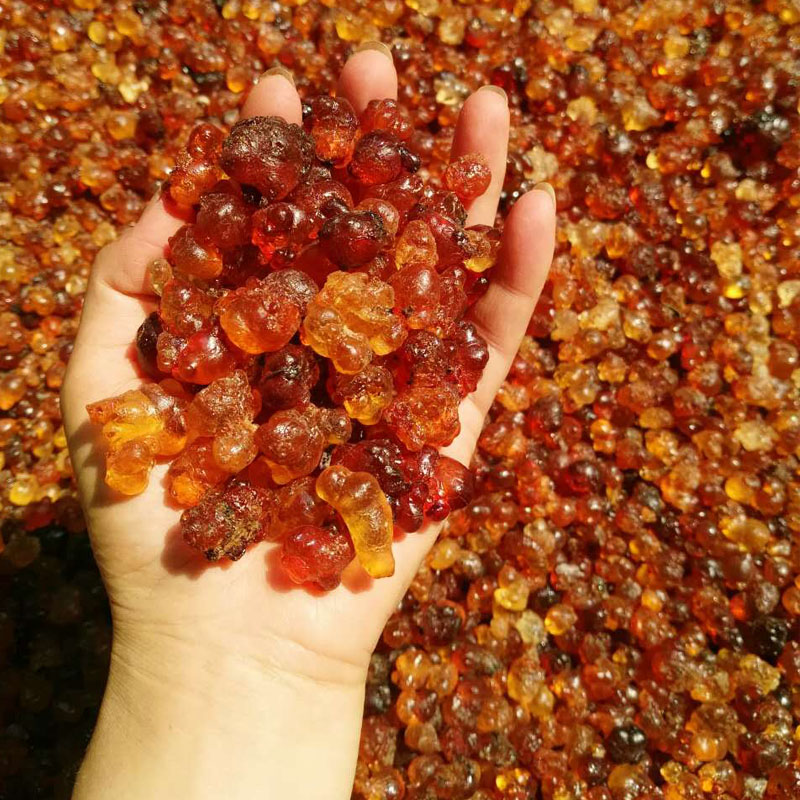 桃树流胶怎么做好吃,观赏桃树上的桃胶怎样做才好吃