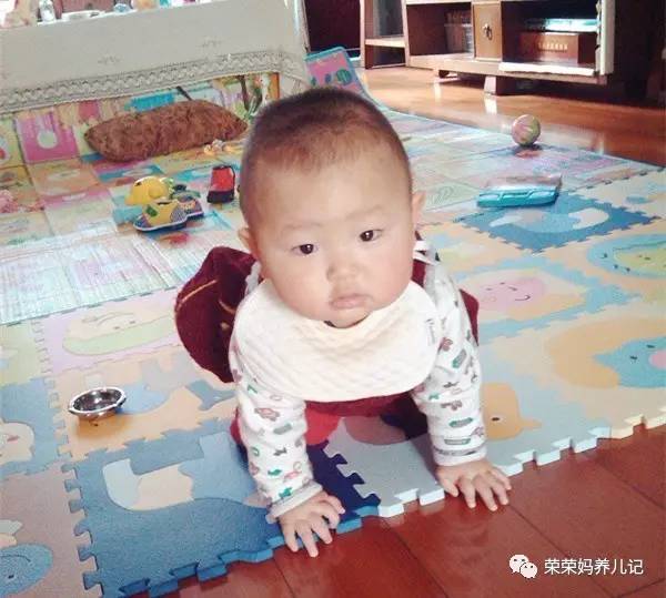 甭管虫子爬、小狗爬还是小熊爬,好歹您也爬一爬!爬行这一步绝对不容错过!