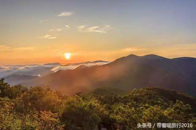 处州龙泉,处州龙泉在哪里