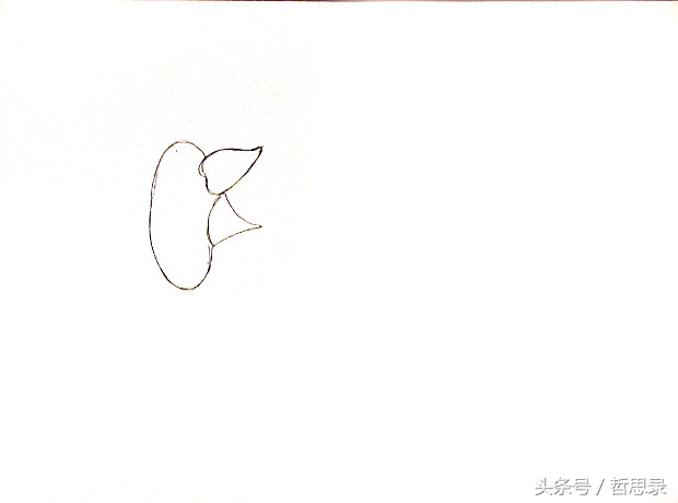 初学者画向日葵的详细教程,向日葵绘画教程简单易学