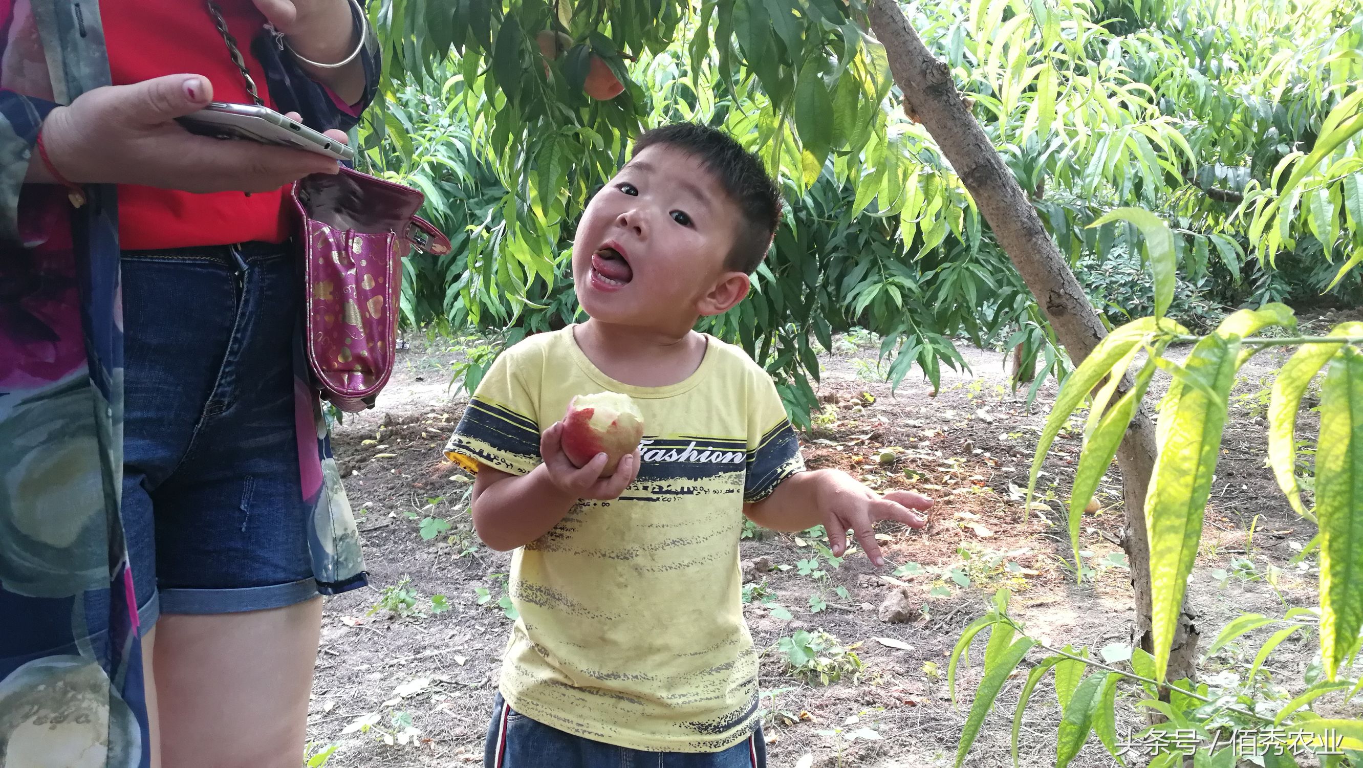 适合农村妇女在家干的小生意,五十岁以后在农村能做什么小生意