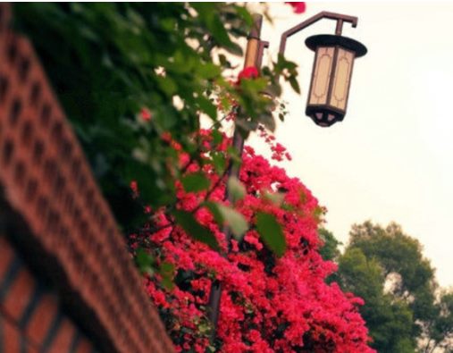 有文字的背景图正能量,正能量意境文字图片