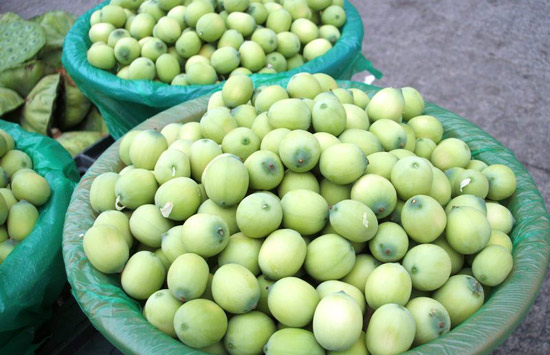 莲蓬怎么销售,卖莲蓬最好的销路