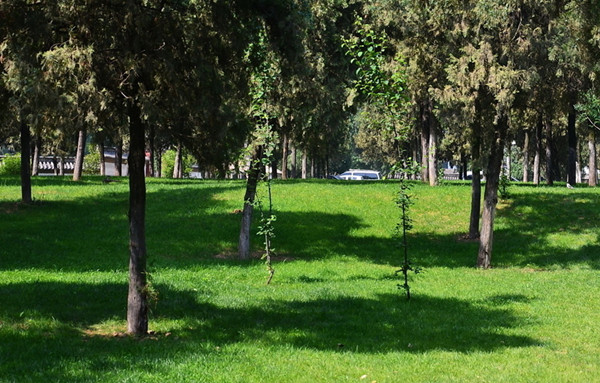 园林绿化养护管理操作规程完整,园林绿地维护与管理教案怎么写