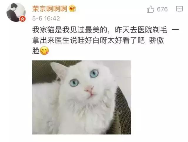 成都流浪猫割双眼皮后的图片,给流浪猫割双眼皮