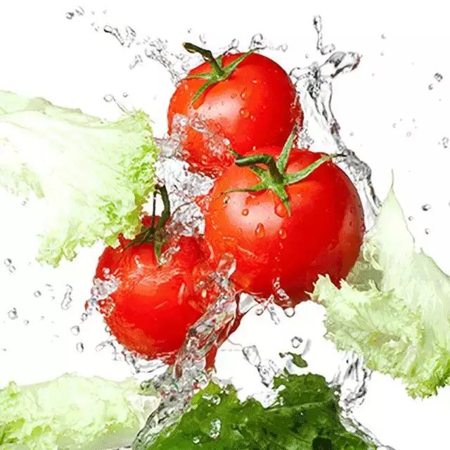 人类驯化食材,人类驯化植物