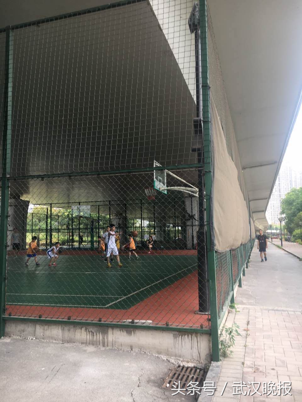 武汉市城市桥梁隧道安全管理条例,武汉市桥隧限行最新政策