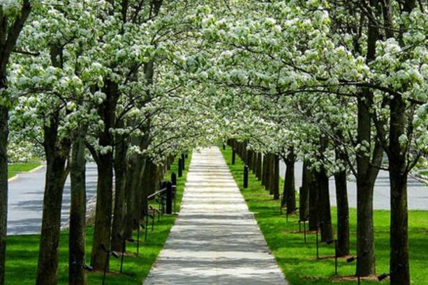 让自己强大的三个小秘诀,让自己强大的四个方法