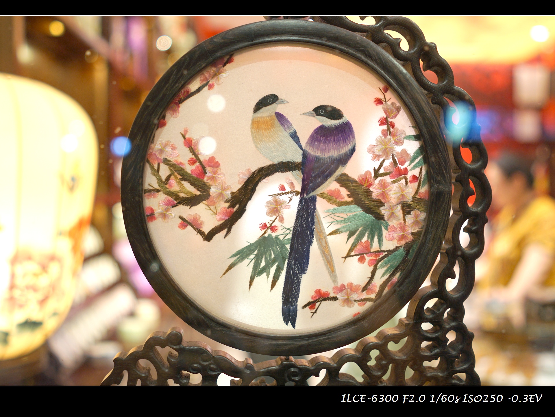 索尼微单a6000和a6300,索尼a6300微单摄影入门教程