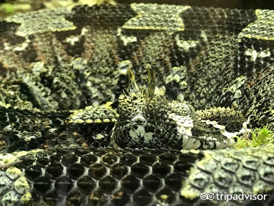 这部堪比英国《西游记》的小说流行20年,14个骨灰级粉丝的打卡地,你懂得!