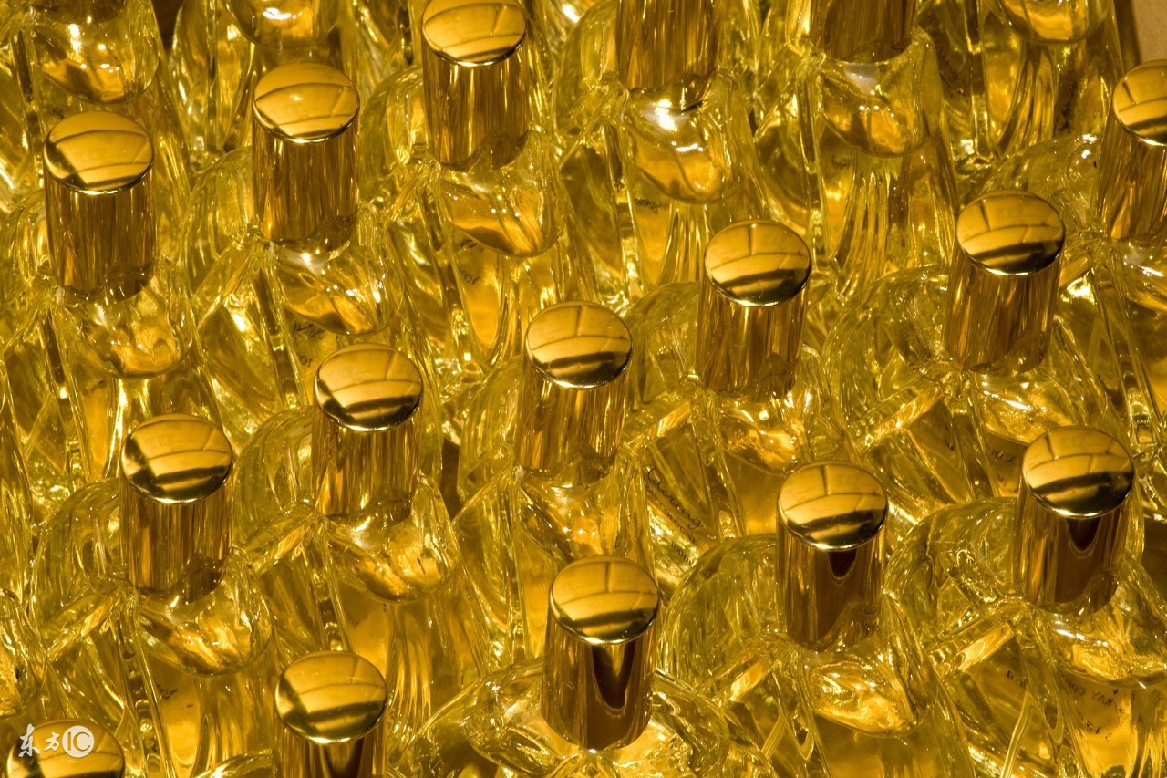 闻香识美人在线阅读,闻香识美人探戈